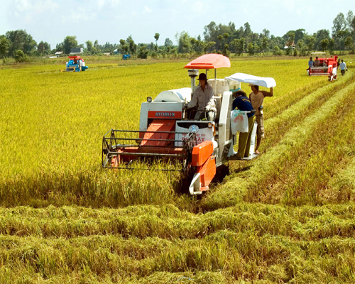 Tiền Giang th&uacute;c đẩy n&acirc;ng cao năng suất, chất lượng h&agrave;ng n&ocirc;ng sản