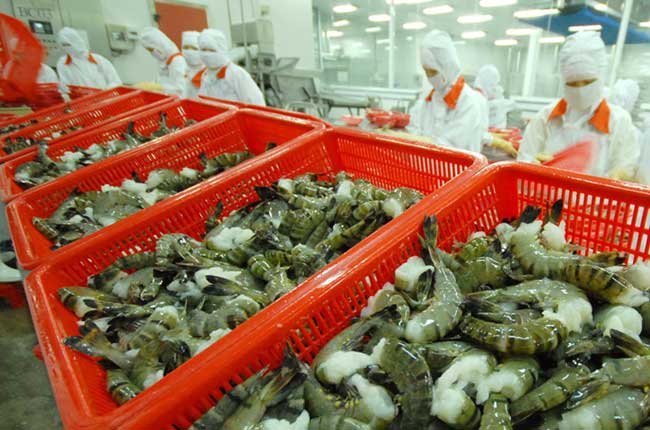 Đọc b&aacute;o mới nhất h&ocirc;m nay ng&agrave;y 24/11: T&ocirc;m Việt Nam c&oacute; thể được 'giải oan' tại Mỹ