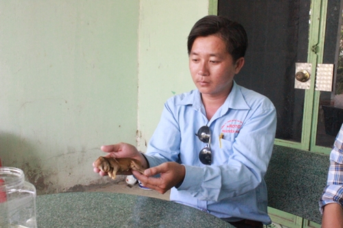 Vật nu&ocirc;i lạ l&agrave; một ch&uacute; cho sở hữu v&ograve;i voi, miệng khỉ ở Đồng Nai