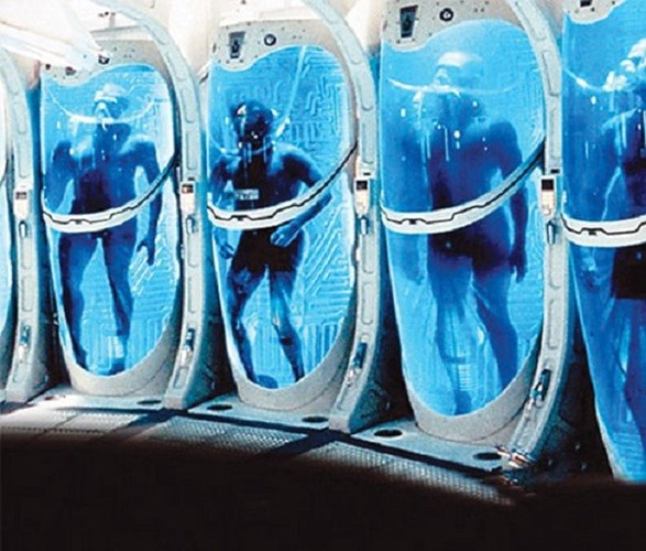 Tr&agrave;o lưu đ&ocirc;ng x&aacute;c chờ hồi sinh đang lan rộng khắp thế giới