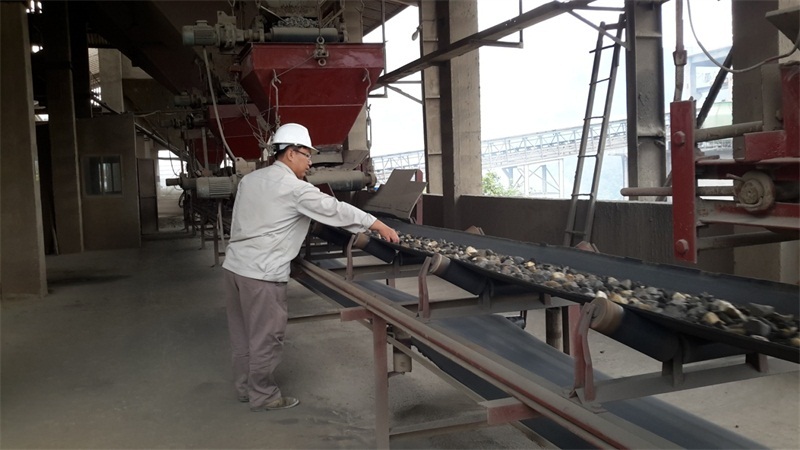 C&aacute;n bộ Kỹ thuật của C&ocirc;ng ty TNHH Đ&ocirc;ng Nam &Aacute; L&agrave;o Cai kiểm tra chất lượng nguy&ecirc;n liệu trước khi v&agrave;o l&ograve;