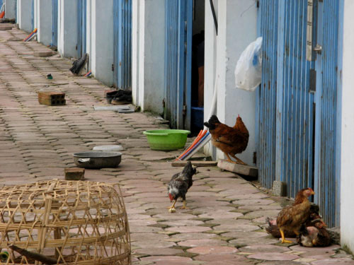 vỉa h&egrave; khu đ&ocirc; thị