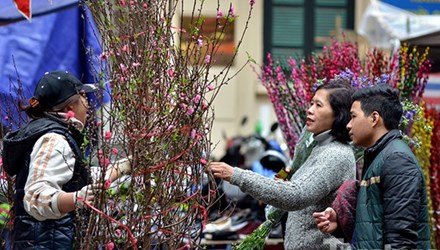 Dự b&aacute;o thời tiết ngày 12/2/2016: Trời kh&ocirc;ng mưa, ngày nắng 