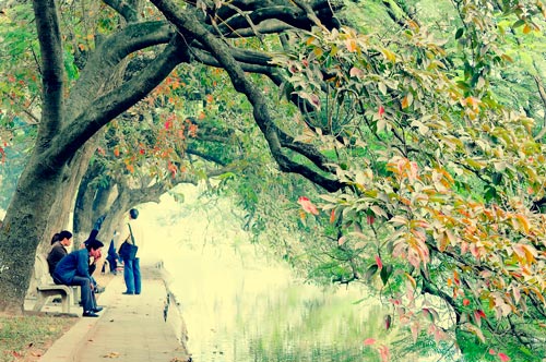 Dự báo thời ti&ecirc;́t ngày 26/3/2016:  Bắc B&ocirc;̣ trời rét, gió Đ&ocirc;ng Bắc c&acirc;́p 3 