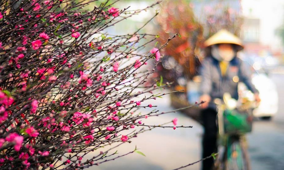 Dự b&aacute;o thời tiết ng&agrave;y 30/01/2016: Trưa, chi&ecirc;̀u trời hửng nắng 