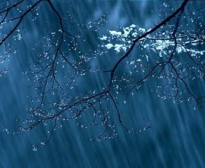 Dự b&aacute;o thời tiết ng&agrave;y 31/01/2016: Trời rét, có mưa nhỏ, mưa phùn 
