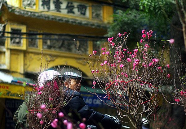 Dự b&aacute;o thời tiết ngày 8/2/2016: Ph&ocirc;̉ bi&ecirc;́n kh&ocirc;ng mưa, trưa chi&ecirc;̀u trời hửng nắng 