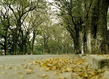 Dự b&aacute;o thời tiết ng&agrave;y mai 10/11: Bắc Bộ đ&ecirc;m v&agrave; s&aacute;ng trời lạnh 