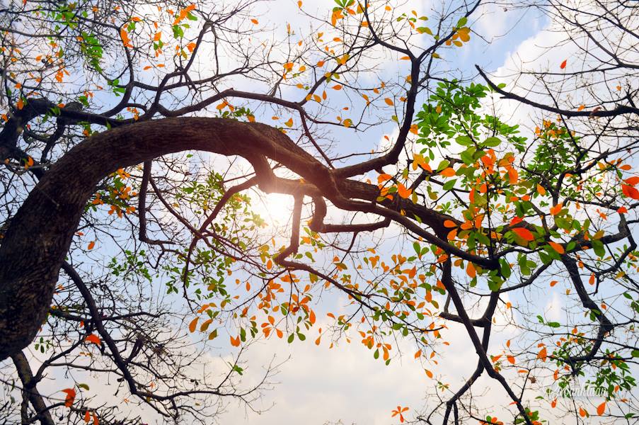 Dự báo thời ti&ecirc;́t ngày mai 10/4/2016: Bắc B&ocirc;̣ trưa chi&ecirc;̀u giảm m&acirc;y, trời nắng 