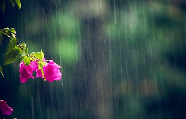 Dự b&aacute;o thời tiết ng&agrave;y mai 12/6/2016: Bắc Bộ mưa to k&egrave;m tố lốc, gi&oacute; giật mạnh