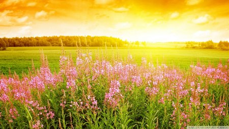 Dự báo thời tiết ngày mai 13/10: Bắc Bộ phổ biến không mưa, ngày nắng Dự báo thời tiết ngày mai 13/10: Bắc Bộ phổ biến không mưa, ngày nắng