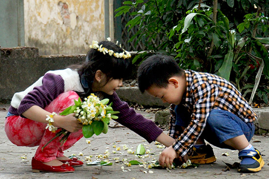 Dự b&aacute;o thời tiết ng&agrave;y mai 13/3: Trời đẹp tr&ecirc;n cả nước dịp cuối tuần