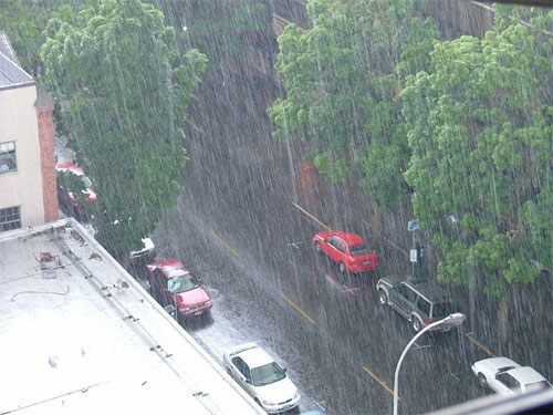 Dự b&aacute;o thời tiết ng&agrave;y mai 13/6/2015: Bắc Bộ c&oacute; mưa r&agrave;o v&agrave;i nơi 