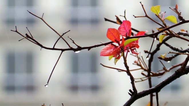 Dự b&aacute;o thời tiết ng&agrave;y mai 14/6/2015: Bắc Bộ mưa d&ocirc;ng, đề ph&ograve;ng tố lốc 