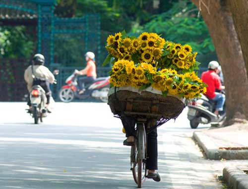 Dự b&aacute;o thời tiết ng&agrave;y mai 15/3: H&agrave; Nội kh&ocirc;ng mưa 
