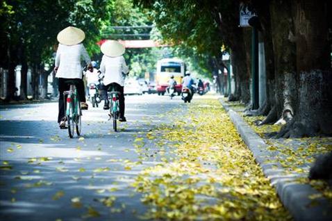 Dự b&aacute;o thời tiết ng&agrave;y mai 15/9: Cả nước nắng nhẹ 