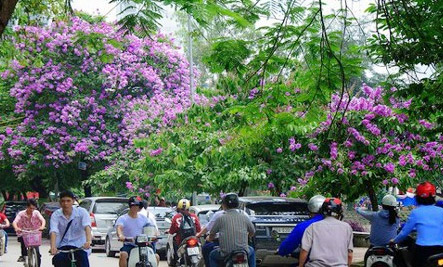 Dự báo thời tiết ngày mai 21/5/2015: Nắng nóng chấm dứt ở Bắc Bộ Dự báo thời tiết ngày mai 21/5/2015: Nắng nóng chấm dứt ở Bắc Bộ