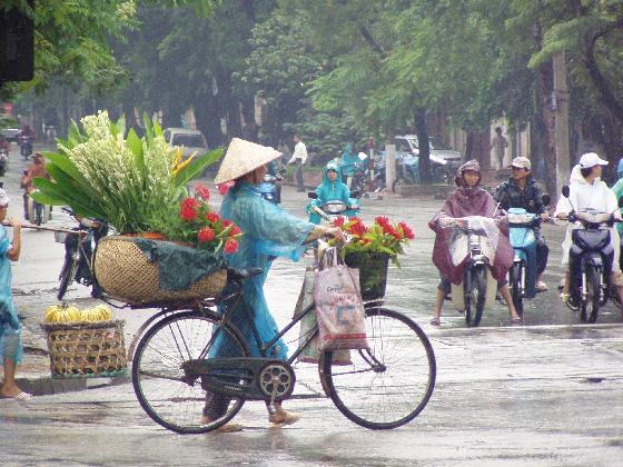 Dự b&aacute;o thời tiết ng&agrave;y mai 20/7/2015: Bắc Bộ mưa to, gi&oacute; Đ&ocirc;ng Nam cấp 2-3 