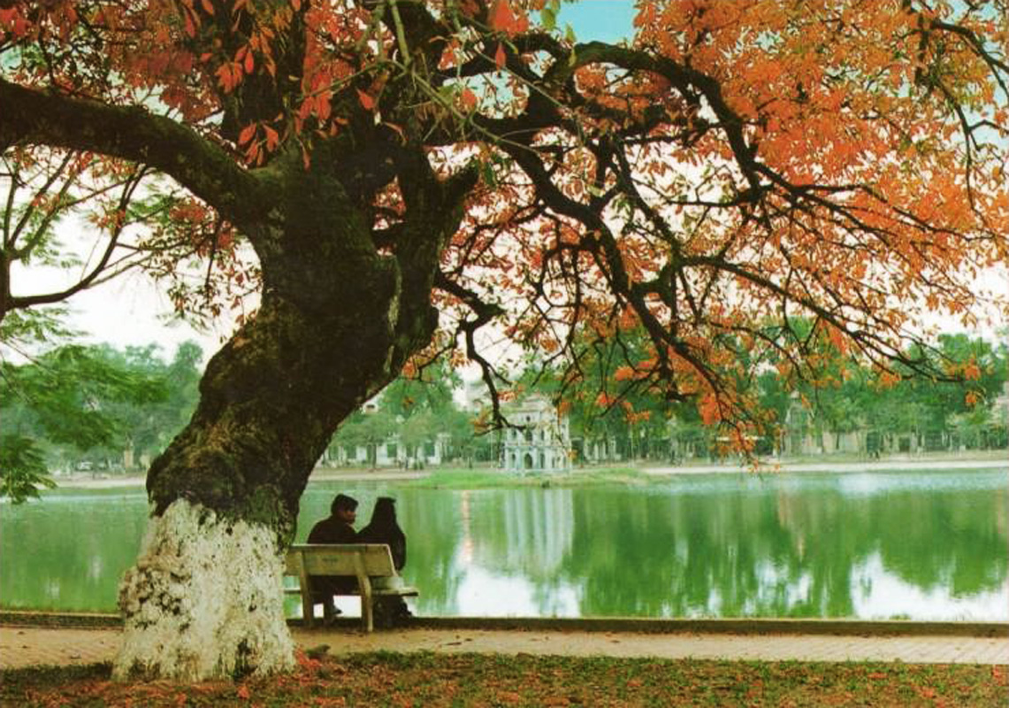 Dự báo thời tiết ngày mai 27/10: Đêm và sáng nhiều mây, có mưa vài nơi Dự báo thời tiết ngày mai 27/10: Đêm và sáng nhiều mây, có mưa vài nơi