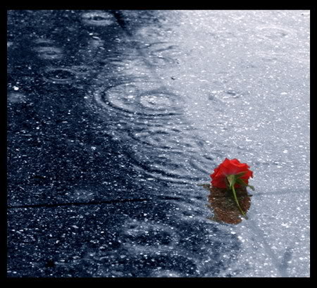 Dự b&aacute;o thời tiết ng&agrave;y mai 31/7/2015: C&oacute; mưa v&agrave; d&ocirc;ng v&agrave;i nơi 