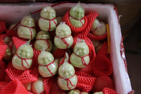 Dưa l&ecirc; Thần t&agrave;i nh&igrave;n tươi ngon nhưng chứa nhiều chất bảo quản độc hại đang được b&aacute;n với số lượng lớn ra thị trường ng&agrave;y Tết