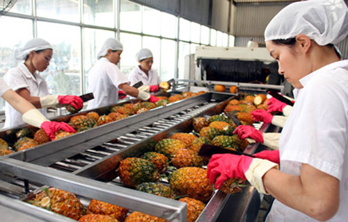 N&acirc;ng cao chất lượng n&ocirc;ng sản xuất khẩu bằng c&ocirc;ng nghệ chiếu xạ