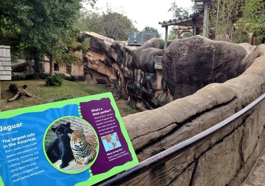 Triển l&atilde;m tại sở th&uacute; Little Rock, nơi xảy ra sự việc