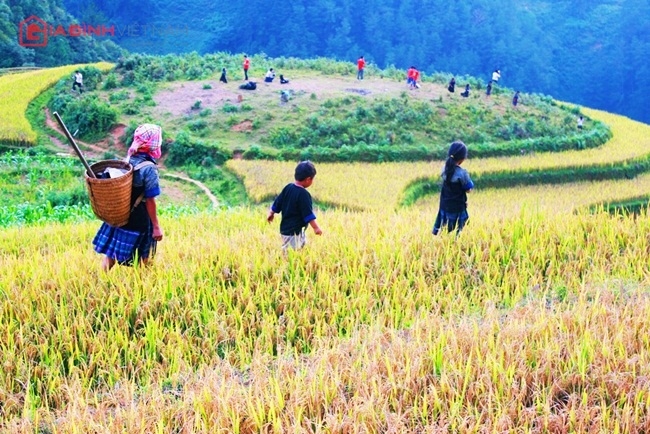 Dự b&aacute;o thời tiết h&ocirc;m nay ng&agrave;y 2/10 nắng nhiều, kh&ocirc; r&aacute;o thu&acirc;n lợi cho b&agrave; con n&ocirc;ng d&acirc;n