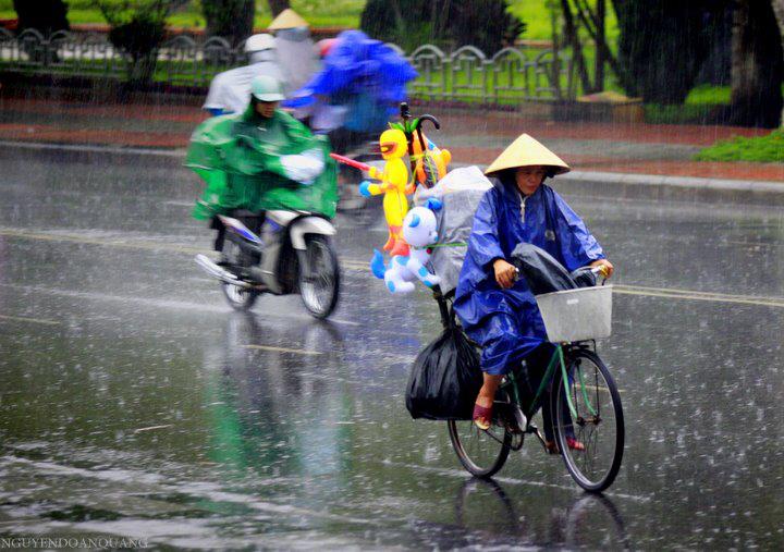 Dự b&aacute;o thời tiết ng&agrave;y mai 2/11, Nam bộ v&agrave; T&acirc;y Nguy&ecirc;n giảm mưa tạm thời