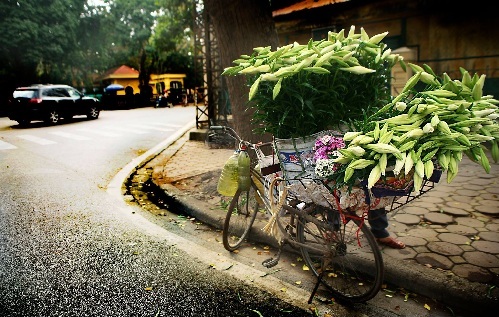 Dự b&aacute;o thời tiết ng&agrave;y mai 3/11, Bắc bộ trở lại trạng th&aacute;i kh&ocirc; r&aacute;o sau những cơn mưa lớn g&acirc;y ra bởi khối kh&ocirc;ng kh&iacute; lạnh