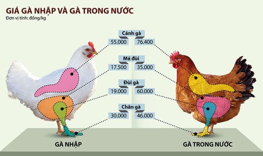Gi&aacute; thịt g&agrave; nhập khẩu qu&aacute; thấp, nghi vấn Link Đăng Nhập Nhà cái 13Win16.Com th&ocirc;ng đồng với đối t&aacute;c nước ngo&agrave;i, b&aacute;n ph&aacute; gi&aacute;