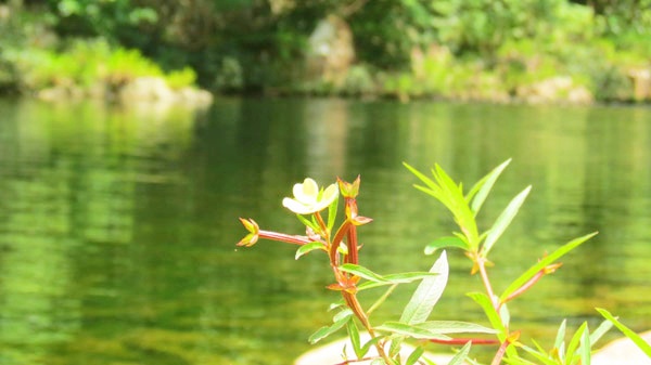 địa điểm du lịch Huế