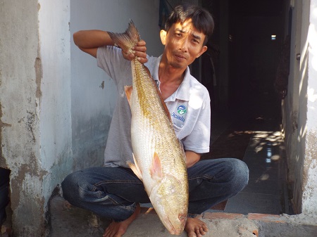Ngư d&acirc;n Lỡ Thế Vinh c&ugrave;ng con c&aacute; lạ nghi c&aacute; Sủ v&agrave;ng qu&yacute; hiếm m&agrave; &ocirc;ng vừa bắt được
