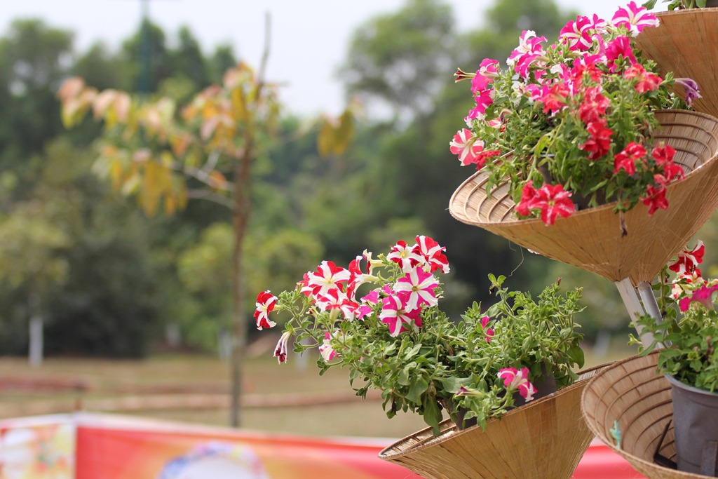 Những chiếc nón hoa treo lủng lẳng trên các tiểu cảnh