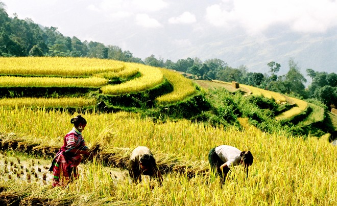 Dự b&aacute;o thời tiết ng&agrave;y 28/10: Bắc Bộ nắng nhẹ, Nam Bộ mưa d&ocirc;ng