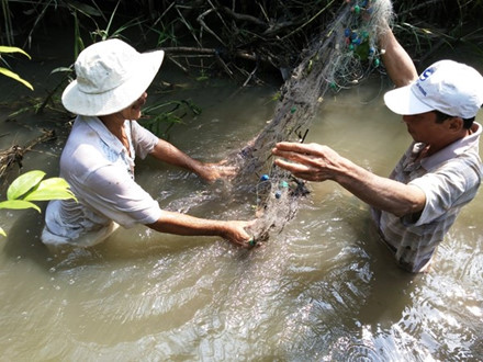  &Ocirc;ng Đinh Tam Hữu (b&igrave;a tr&aacute;i) c&ugrave;ng người nh&agrave; giăng lưới ở con rạch gần nh&agrave; với hy vọng bắt lại được &iacute;t c&aacute; trong số 5 tấn c&aacute; tra đ&atilde; tr&ocirc;i theo d&ograve;ng nước. Ảnh: Lao Động