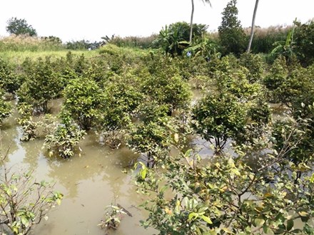  Trả lời b&aacute;o Lao Động, chị Vương Thanh Thảo (30 tuổi, ngụ số 100 đường số 9, phường Hiệp B&igrave;nh Phước) cho biết, sự cố xảy ra xảy ra v&agrave;o khoảng 4h30 s&aacute;ng, cả nh&agrave; đang ngủ th&igrave; bị đ&aacute;nh thức bởi tiếng nước tr&agrave;n như lũ. Cả nh&agrave; hốt hoảng dậy rồi k&ecirc; đồ đạc v&agrave; gọi cửa đ&aacute;nh thức c&aacute;c nh&agrave; xung quanh. Ảnh: Lao Động