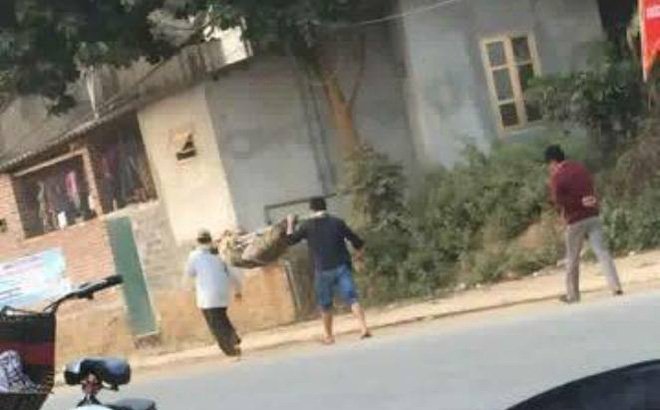  H&igrave;nh ảnh người nh&agrave; khi&ecirc;ng người chết b&oacute; chiếu đi tr&ecirc;n đường g&acirc;y x&ocirc;n xao