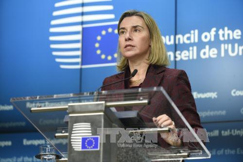  Hội nghị ngoại trưởng EU tập trung thảo luận t&igrave;nh h&igrave;nh chiến sự Syria v&agrave; Trung Đ&ocirc;ng