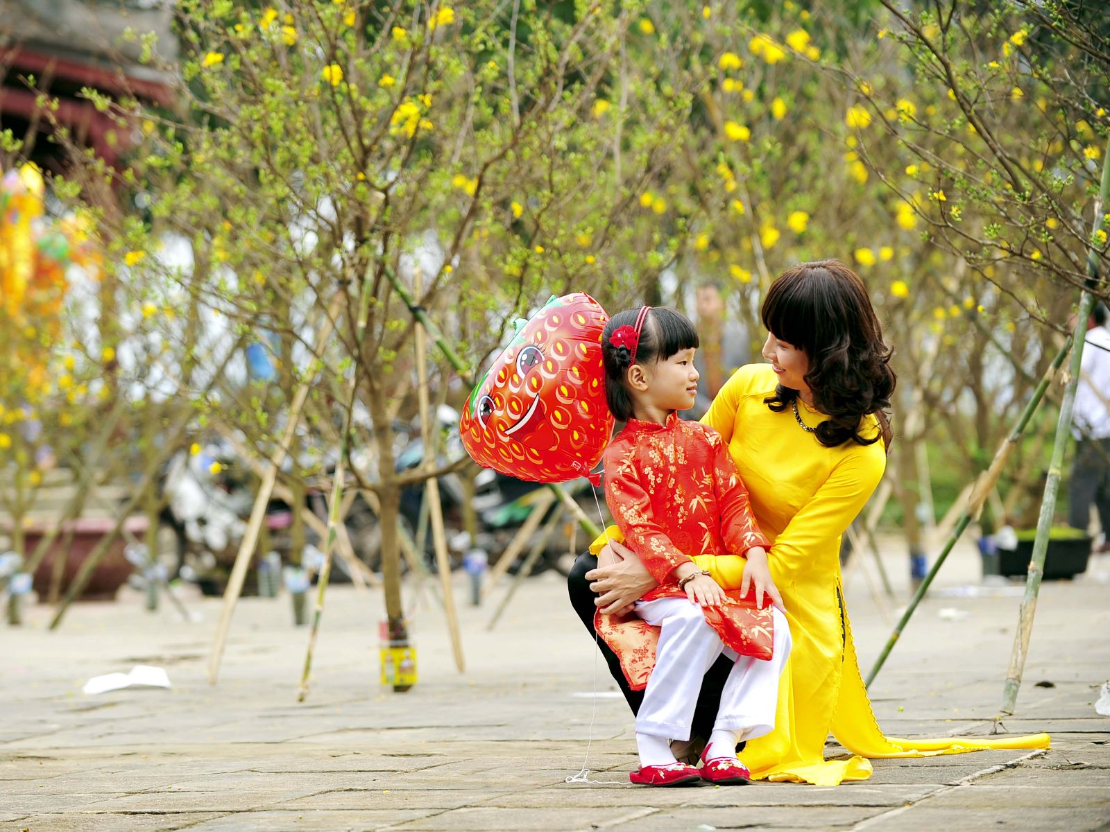  Dự b&aacute;o thời tiết Tết Đinh Dậu 2017: Bắc Bộ trời nắng, ấm &aacute;p. Ảnh minh họa