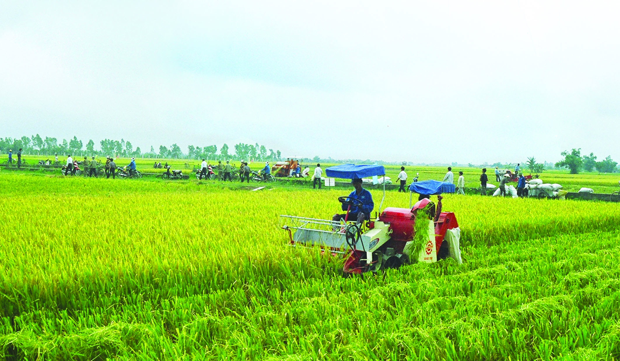  Nhiệm vụ v&agrave; cơ cấu tổ chức của Bộ N&ocirc;ng nghiệp v&agrave; Ph&aacute;t triển n&ocirc;ng th&ocirc;n. Ảnh minh họa