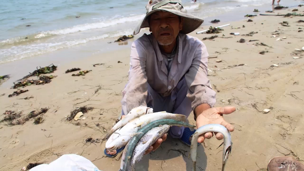  Đ&atilde; c&oacute; kết luận xử l&yacute; tập thể, c&aacute; nh&acirc;n li&ecirc;n quan vụ Formosa. Ảnh minh họa