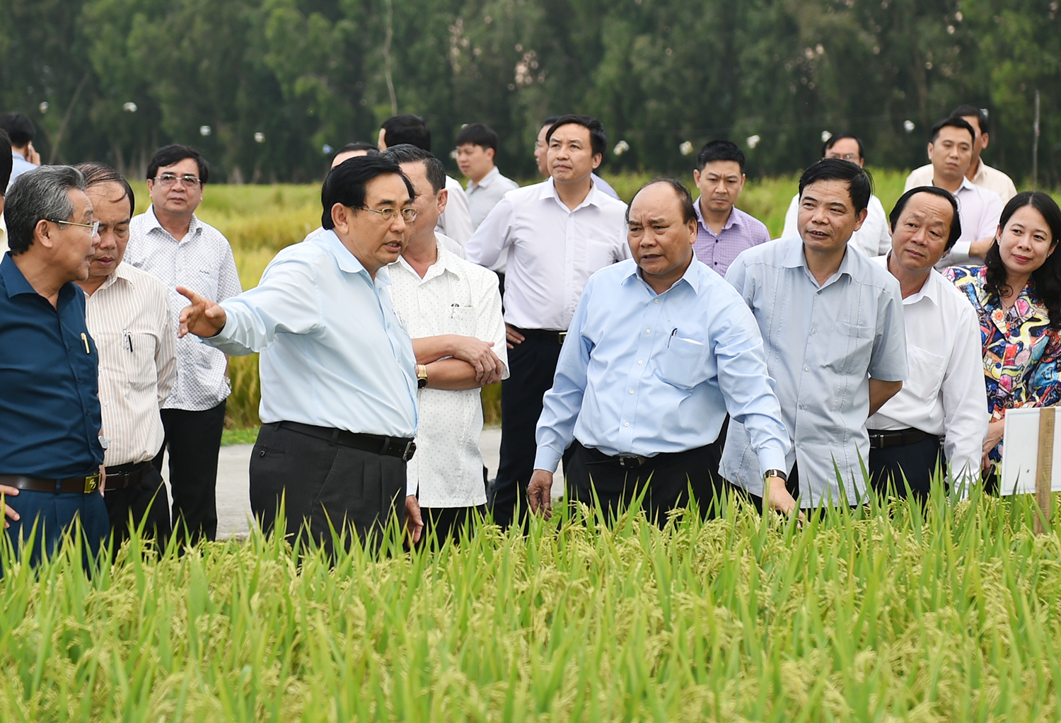  Thủ tướng Nguyễn Xu&acirc;n Ph&uacute;c thăm c&aacute;c c&aacute;nh đồng mẫu ở An Giang. Ảnh: VGP
