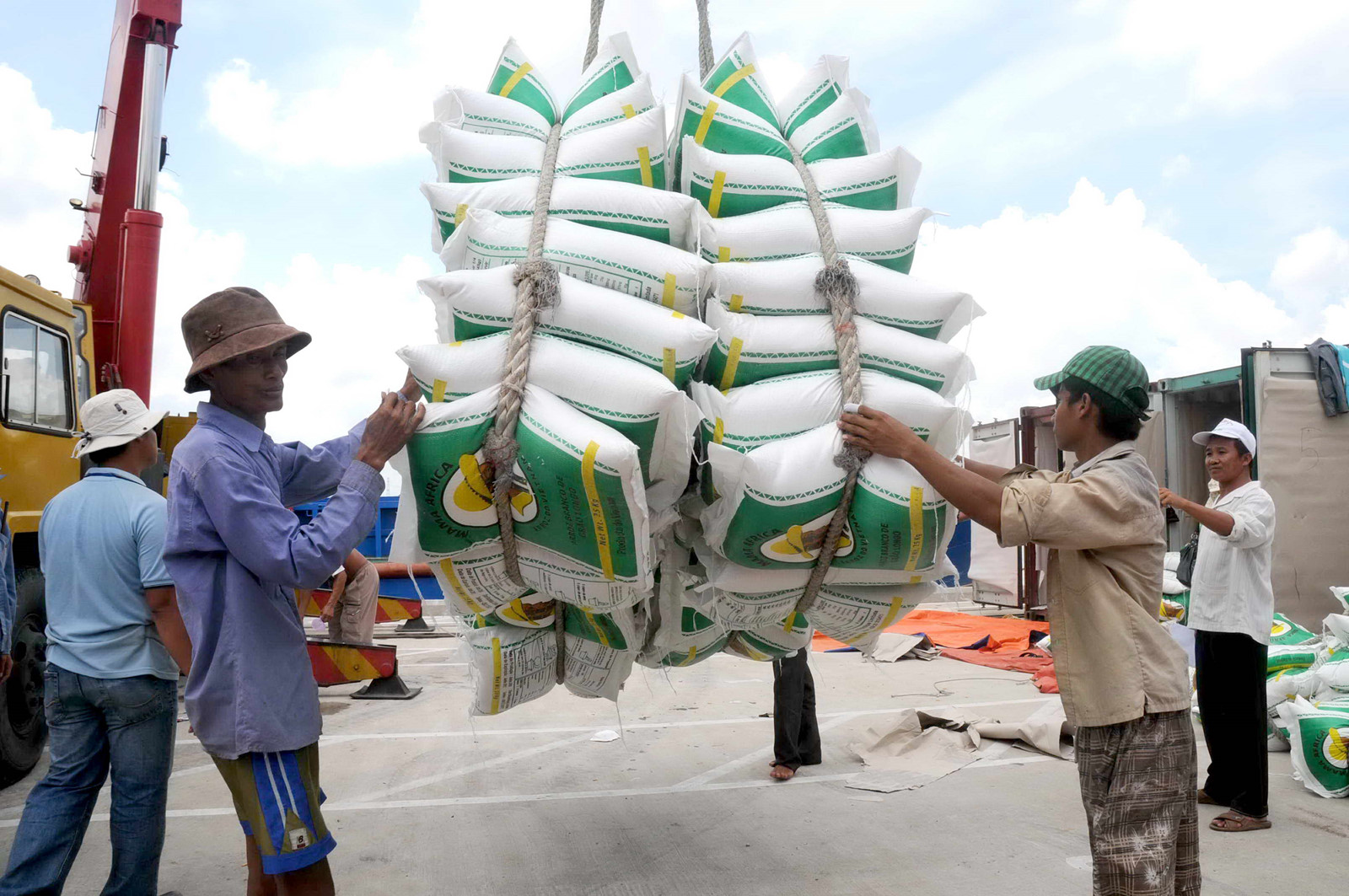  Vụ giấy ph&eacute;p xuất khẩu gạo 20.000 USD l&agrave; 'kh&ocirc;ng đ&uacute;ng sự thật'. Ảnh minh họa