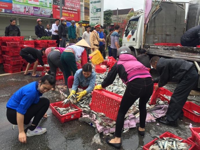  Người d&acirc;n gi&uacute;p đỡ t&agrave;i xế nhặt c&aacute; v&agrave;o xe tải. Ảnh: B&aacute;o Giao th&ocirc;ng