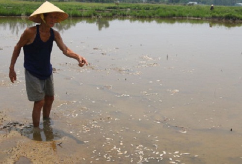  Nguồn nước bị &ocirc; nhiễm ở x&atilde; H&ograve;a Tiến, huyện H&ograve;a Vang do nh&agrave; m&aacute;y mạ kẽm xả thải. Ảnh: b&aacute;o Lao Động