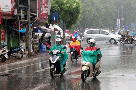  Gi&oacute; m&ugrave;a Đ&ocirc;ng Bắc tr&agrave;n về miền Bắc nước ta. Ảnh minh họa