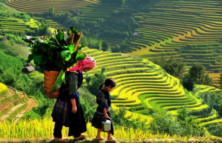  Dự b&aacute;o thời tiết h&ocirc;m nay ng&agrave;y 22/5. Ảnh minh họa