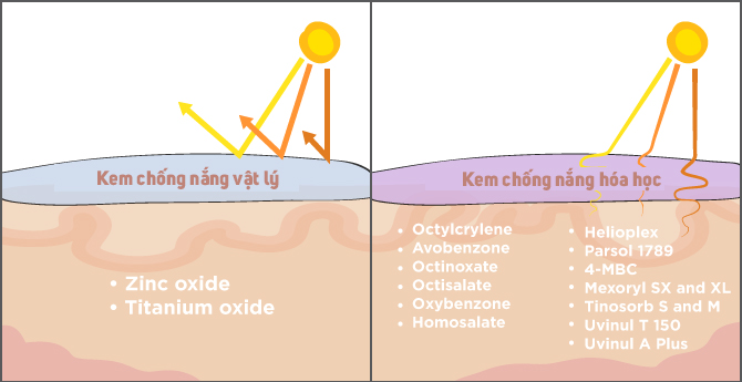  Kem chống nắng vật l&yacute; v&agrave; h&oacute;a học th&iacute;ch hợp với c&aacute;c loại da kh&aacute;c nhau. Ảnh: Internet