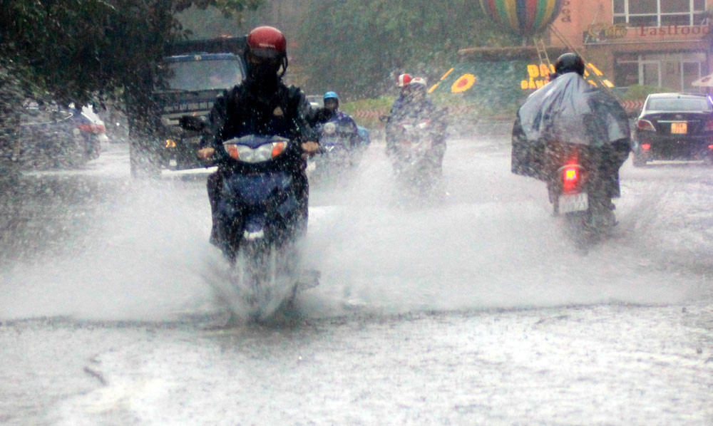  Dự b&aacute;o thời tiết ng&agrave;y mai: C&aacute;c tỉnh từ Nghệ An đến Quảng Nam tiếp tục c&oacute; mưa vừa, mưa to. Ảnh: Gia đ&igrave;nh Việt Nam